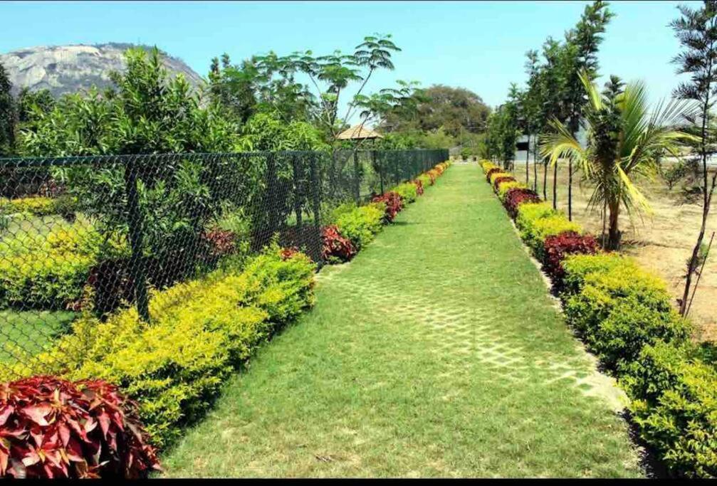 A Glass Haven , Nandi Hills Nandigunda ภายนอก รูปภาพ